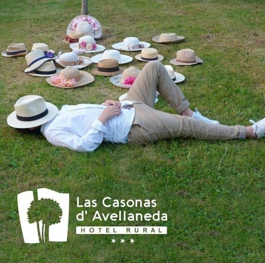 Las Casonas De Avellaneda Navia Extérieur photo